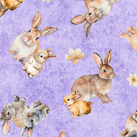 HUNNY BUNNY              